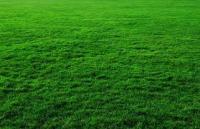 M3 Artificial Grass & Turf logo