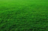 M3 Artificial Grass & Turf Logo