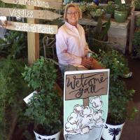 The Plant Depot Logo