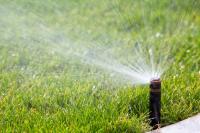 EM Lawn Maintenance Logo