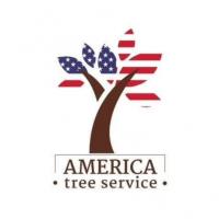 America Tree Service LLC Logo
