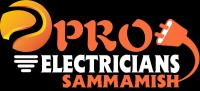 Pro Electricians Sammamish Logo