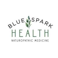 Blue Spark Health Logo
