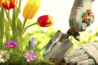 Lehua Landscaping LLC Logo