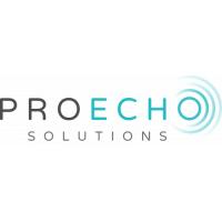 Proecho Solutions Logo