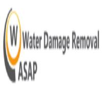 NY Water Damage Removal and Flood Clean Up Pros - ASAP Logo