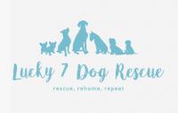Lucky 7 Dog Rescue logo