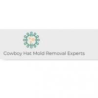 Cowboy Hat Mold Removal Experts Logo