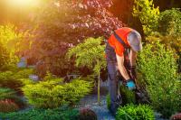 Landscaping With Styles Logo
