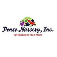 Pense Nursery, Inc. Logo