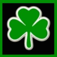 Ferris Home Improvements Logo