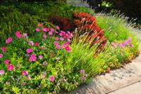 Landscaping Clovis Logo