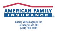 Audrey Wilson Agency, Inc American Family Insurance logo