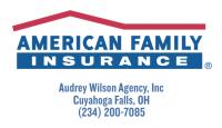 Audrey Wilson Agency, Inc American Family Insurance Logo