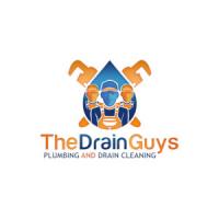 The Drain Guys Plumbing & Drain Cleaning Logo