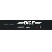 Bice Motors logo