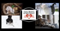 Animal Hospital of North Asheville Logo