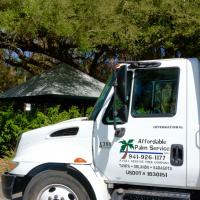 Affordable Palm Service, Inc Logo