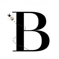 Baylis Insurance Agency LLC Logo