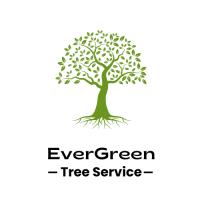 EverGreen Tree Service Logo