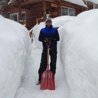 Colorado Home Check Logo