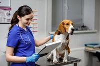 Port St. Lucie Mobile Vet Logo
