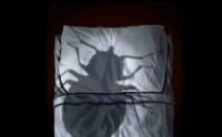Paredes Pest Control Logo