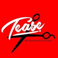 Tease Hair Salon Logo