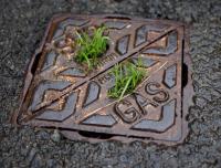 Sewer Guys Logo