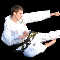 Johnson's Elite Martial Arts Family Center Logo