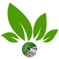Tree Service Expert logo