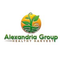 Alexandria Group Inc. Logo