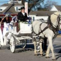 Danielle's Bridal Formals & Tuxedo Rentals Logo