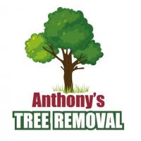 Anthony's Tree Removal logo