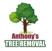Anthony's Tree Removal Logo