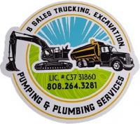 B Sales Trucking, Excavation, Pumping & Plumbing Services Logo