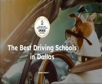 DriverZ SPIDER Driving Schools – Dallas Logo