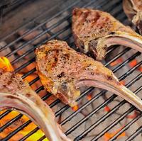 Gypsy Grill Logo