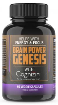 Brain Power Genesis Logo