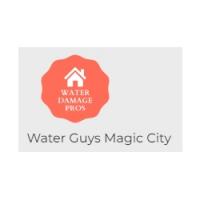 Water Guys Magic City logo