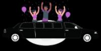 Limo Party Bus USA Logo