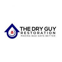The Dry Guy Restoration Logo