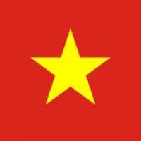 Vietnam eVisa Logo