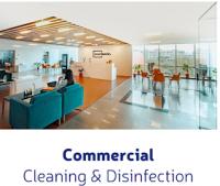 House Cleaning Service Palm Beach Gardens Logo