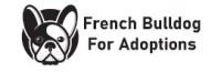 French Bulldogs For Adoption Logo
