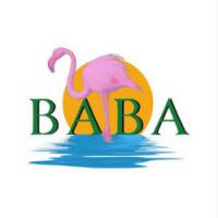 Bay Area Bookkeeping & Accounting Inc. Logo