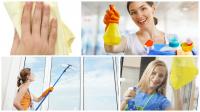 Shine Cleaning Service Logo