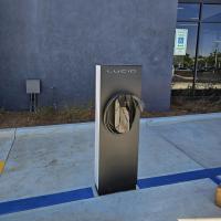 Bee Thumb Electric Logo