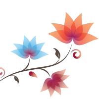 Trinergy Health Logo