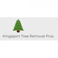 Kingsport Tree Removal Pros Logo